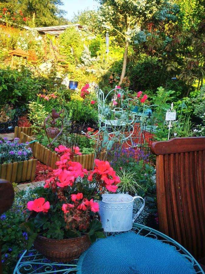 Ferienhaus Mit Riesen Garten, Drei Terrassen, Toller Aussicht Am Waldrand, Auch Als Monteur-Wohnung Hemer Eksteriør bilde