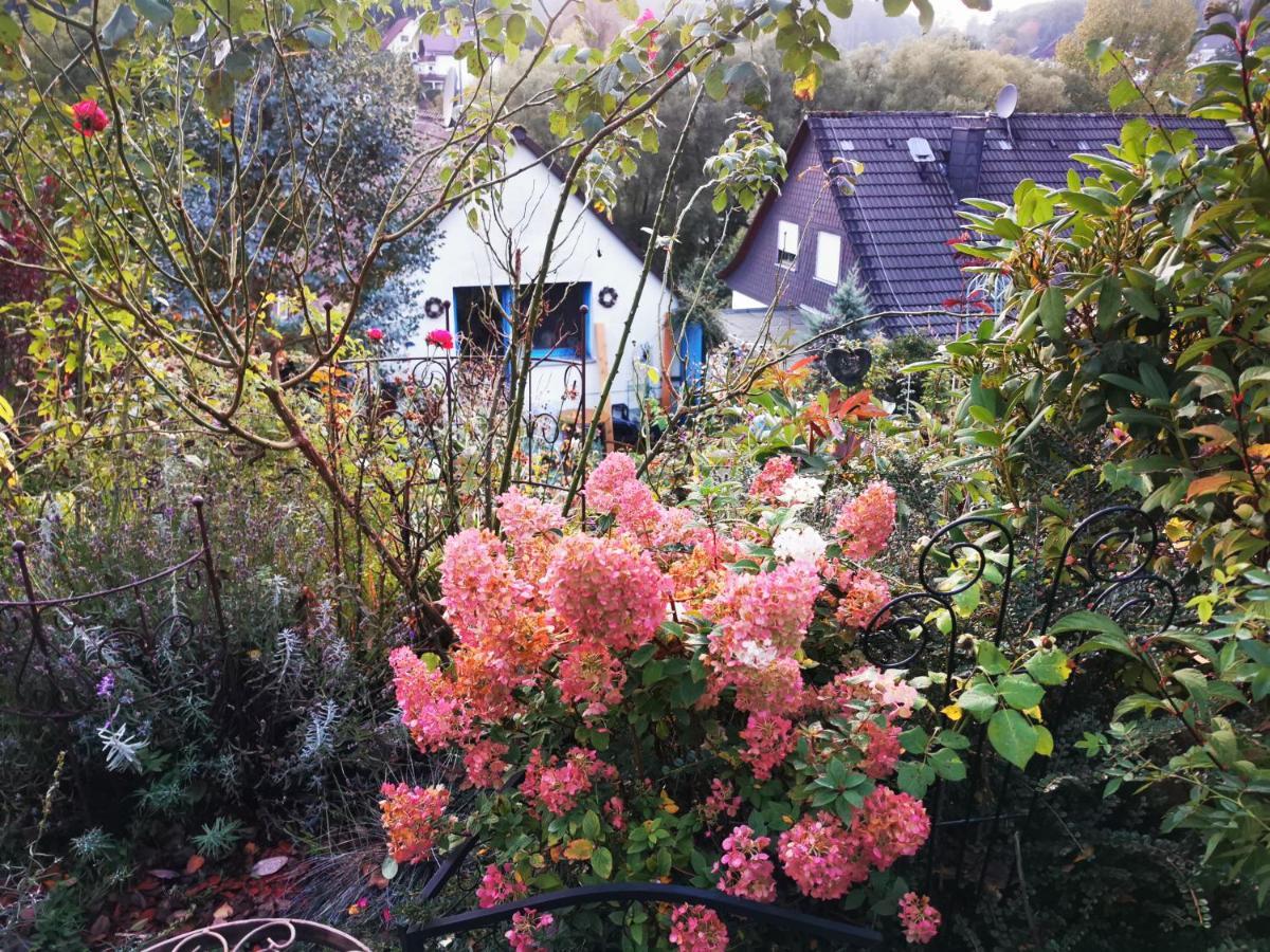 Ferienhaus Mit Riesen Garten, Drei Terrassen, Toller Aussicht Am Waldrand, Auch Als Monteur-Wohnung Hemer Eksteriør bilde